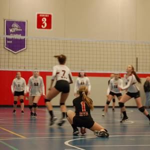 Meet your Posher, Ellie